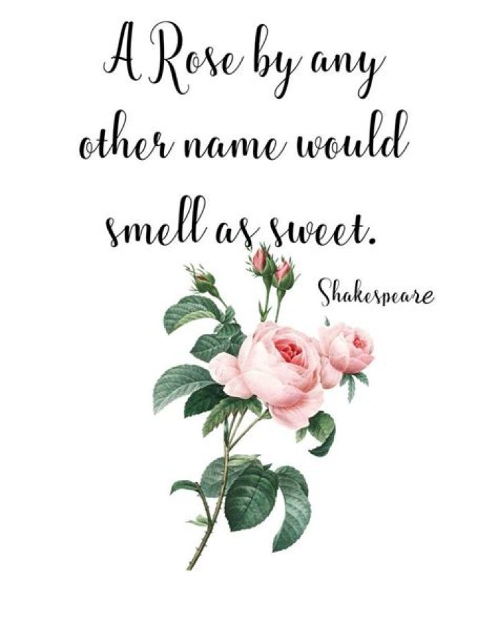 a rose by any other name would smell as sweet