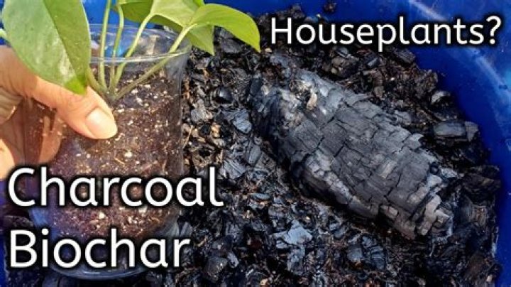activated charcoal for plants