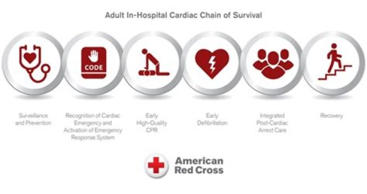 adult cardiac chain of survival
