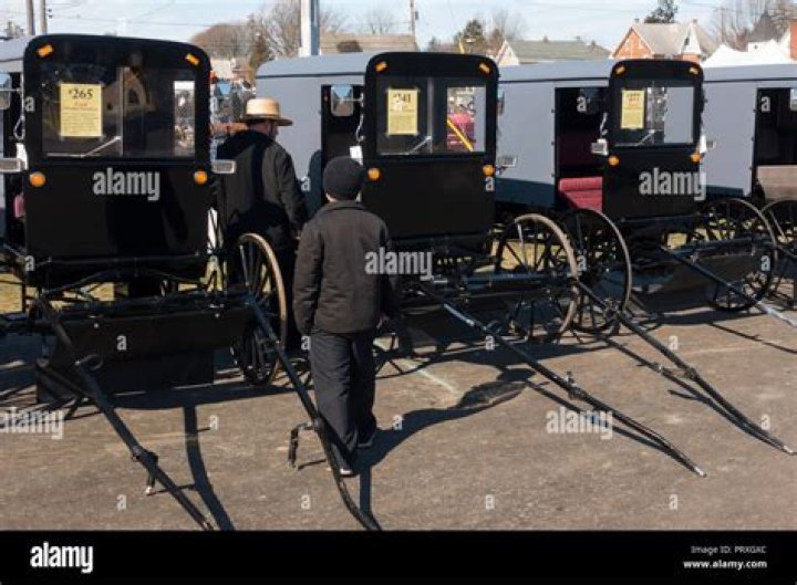 amish buggy for sale