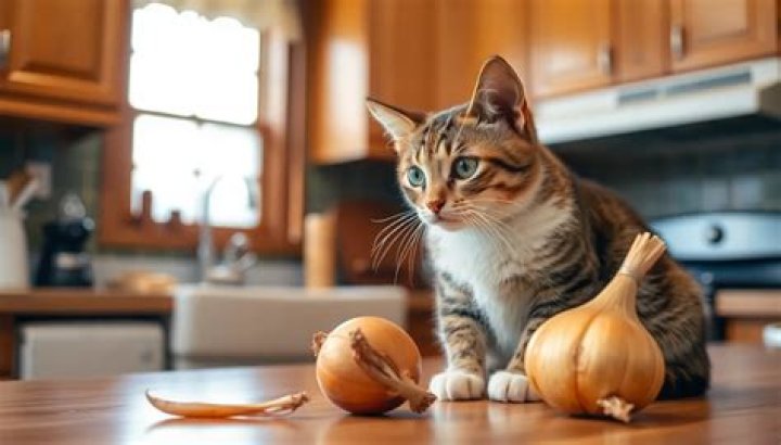 are onions bad for cats