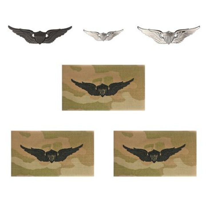 army aviation wings