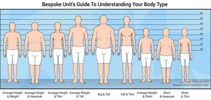 average body type