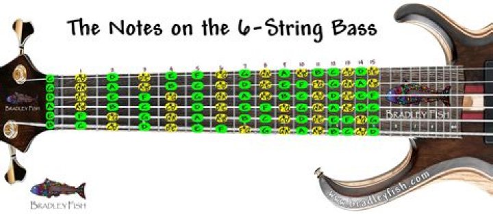 bass strings notes