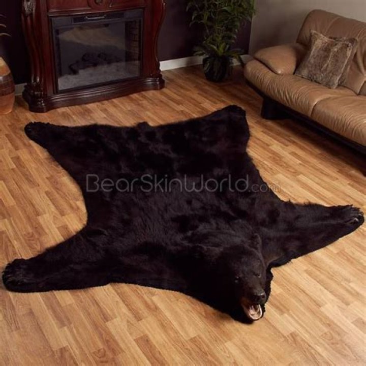 black bear rug