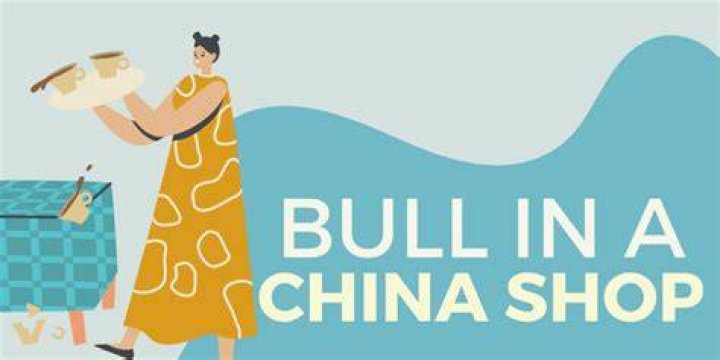 bull in a china shop meaning