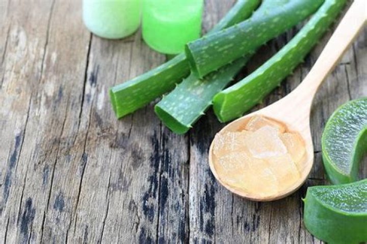 can you eat aloe