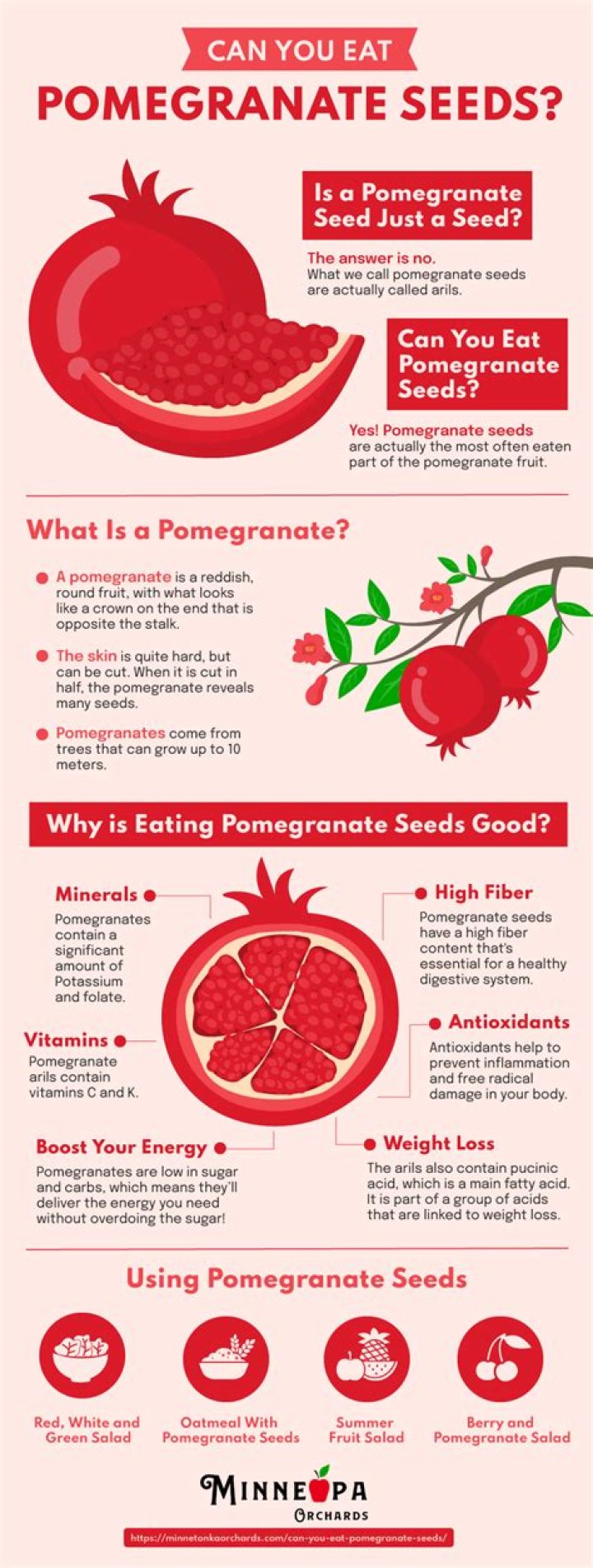 can you swallow pomegranate seeds