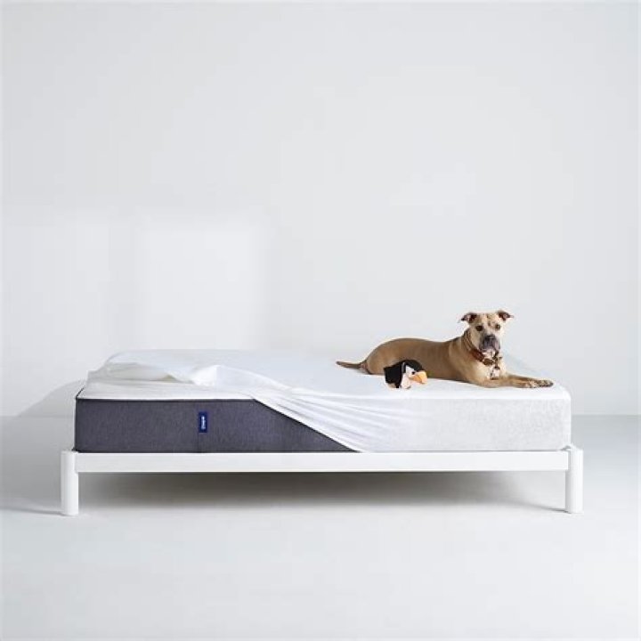 casper mattress protector