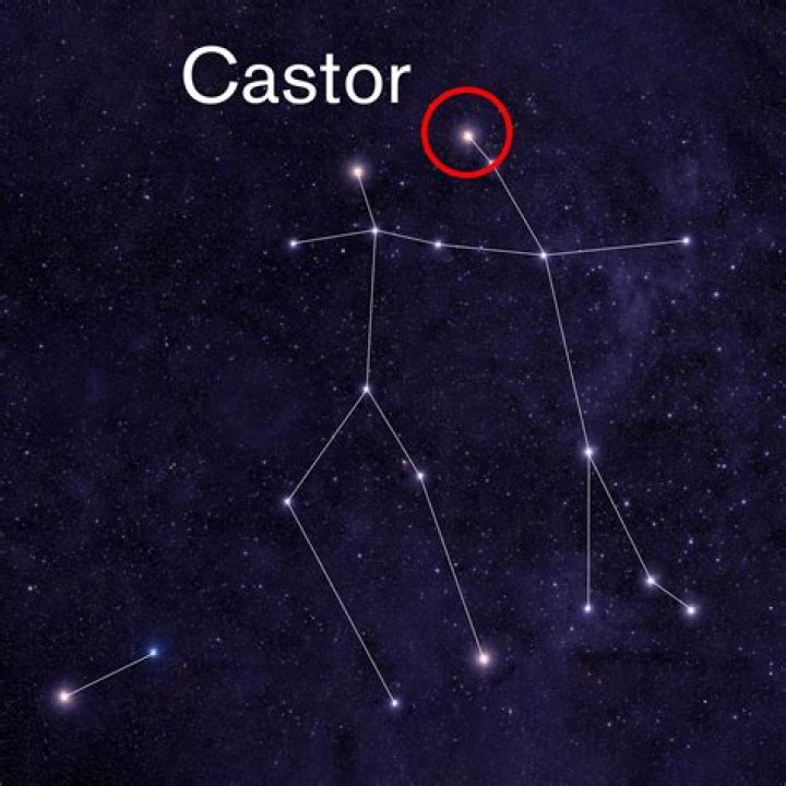 castor star