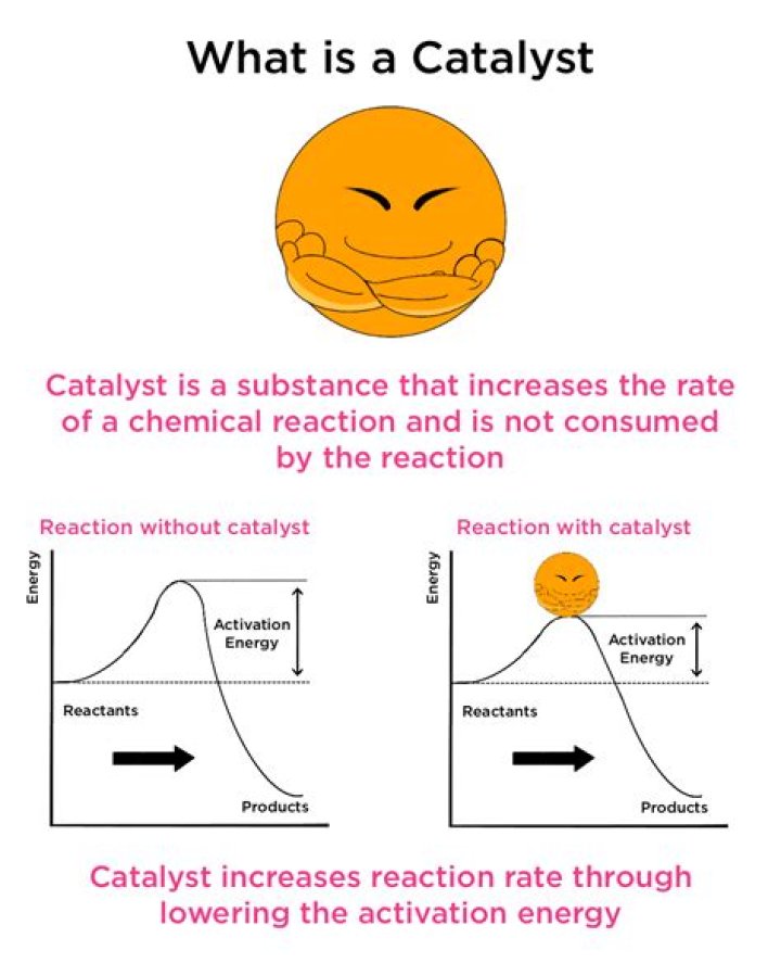 catalyst in a chemical reaction