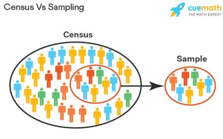 census statistics definition