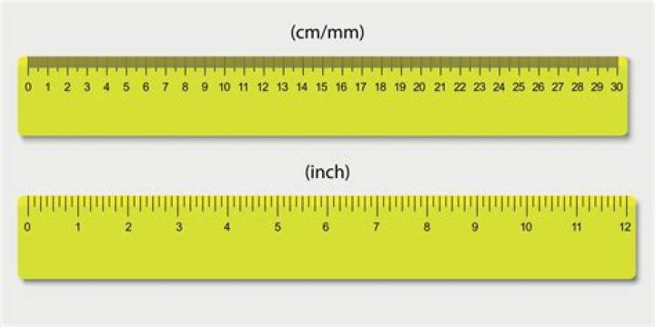 centimeters on a ruler
