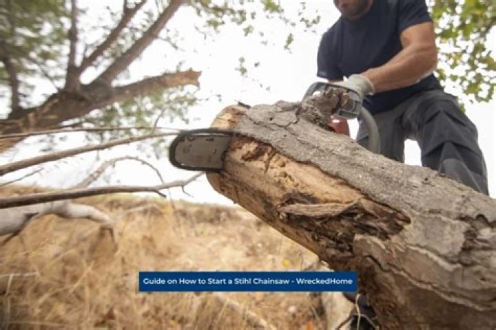 chainsaw to cut tree