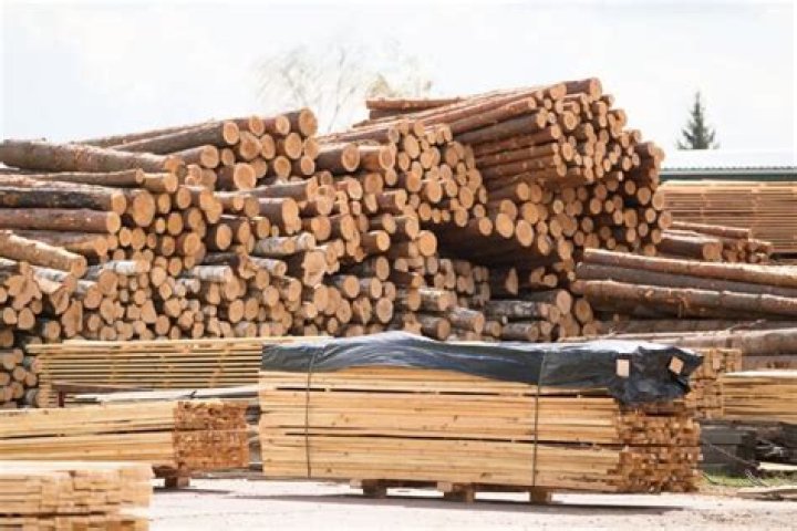 cheapest place to buy lumber