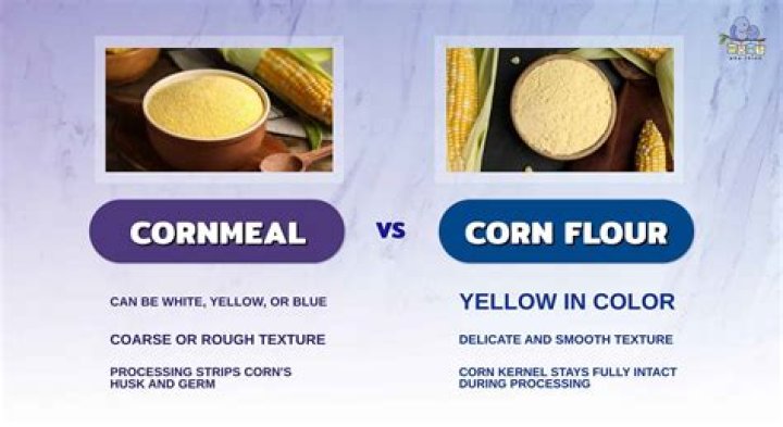 corn meal vs corn flour