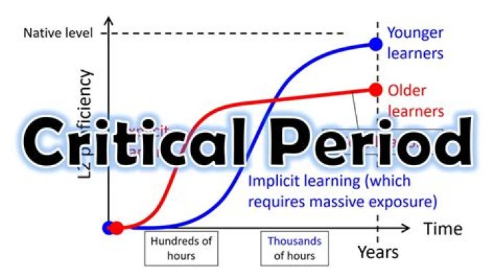 critical period hypothesis