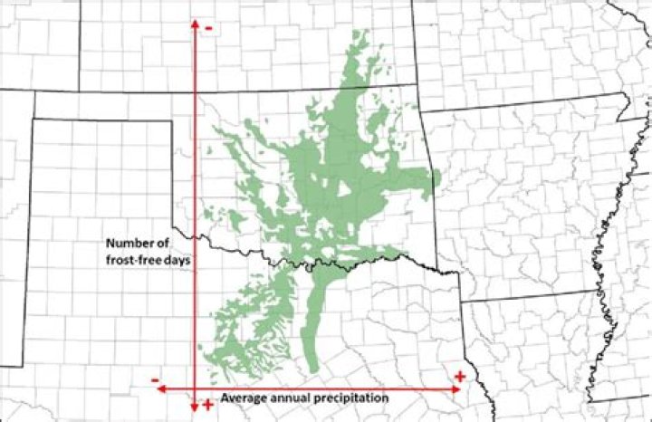 cross timbers and prairies average rainfall