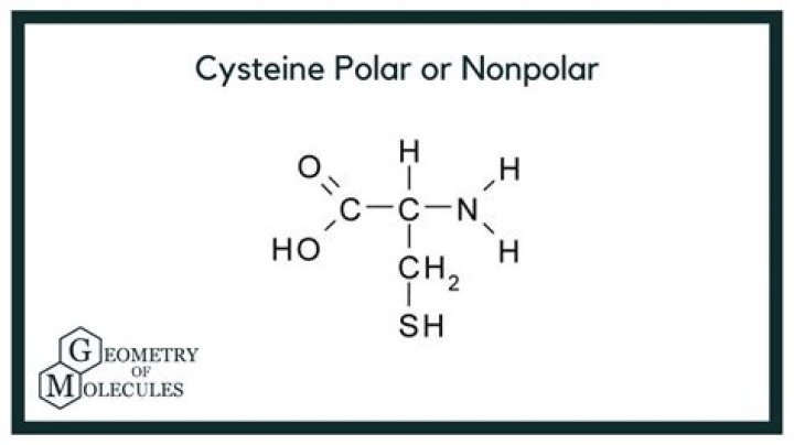 cysteine polar or nonpolar