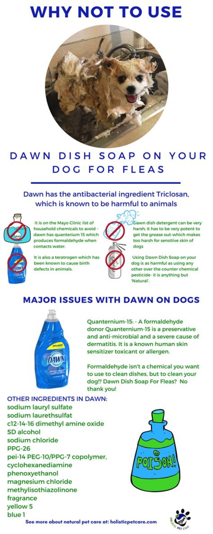 dawn soap for fleas