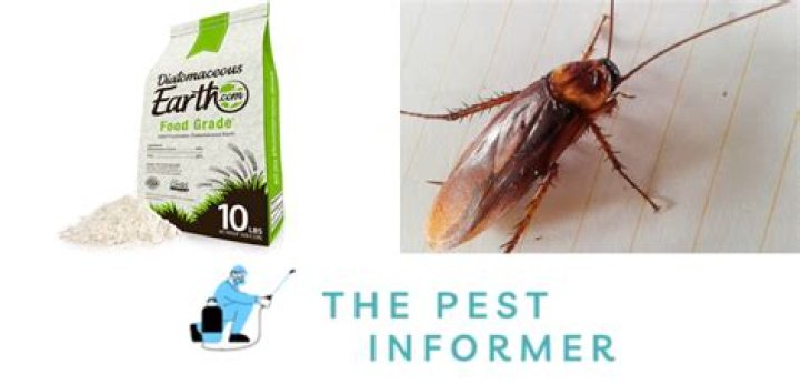diatomaceous earth for roaches