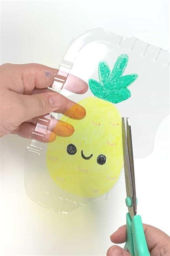 diy shrinky dinks