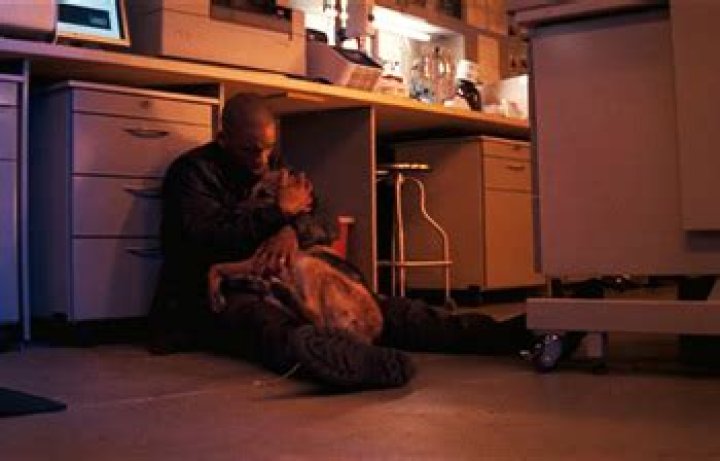 does the dog die in i am legend