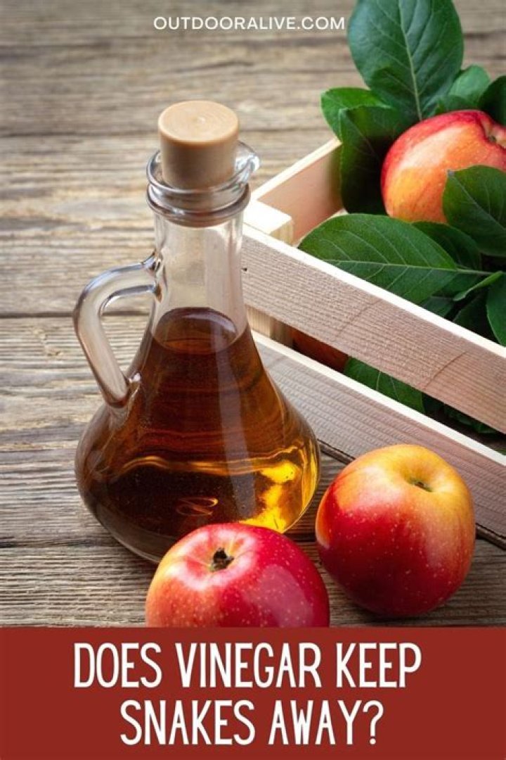 does vinegar keep snakes away