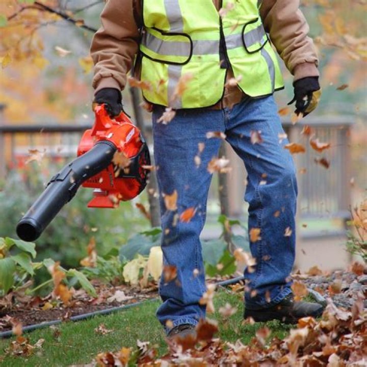 echo leaf blowers