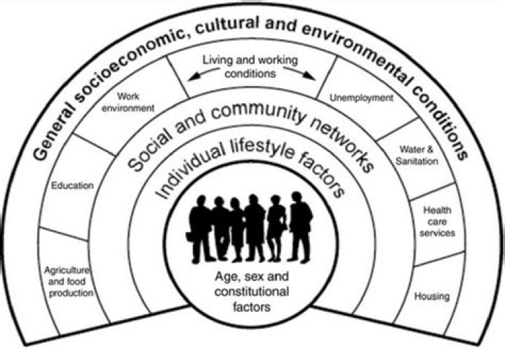 ecological model of health