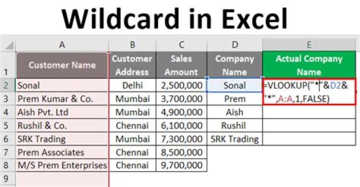 excel wildcard