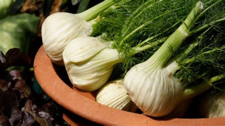 fennel bulb substitute