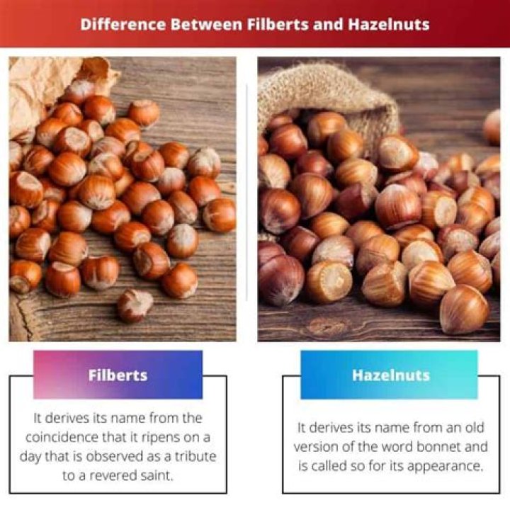 filberts vs hazelnuts