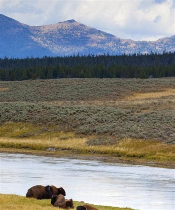flights to yellowstone national park