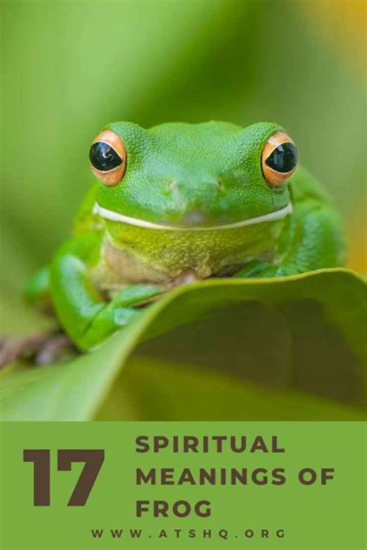 frog meaning spiritual