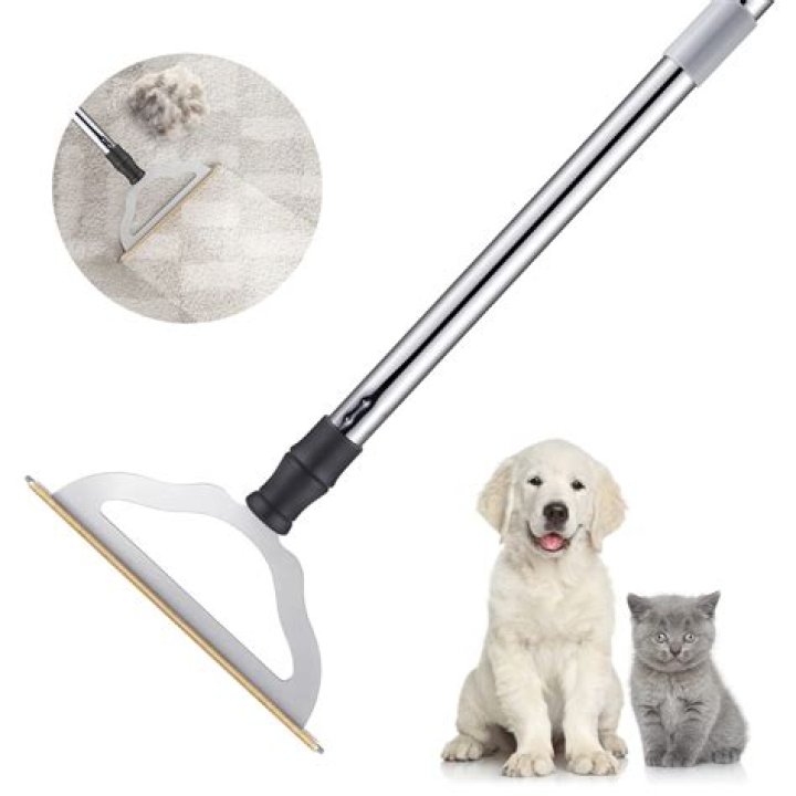 hair remover from carpet