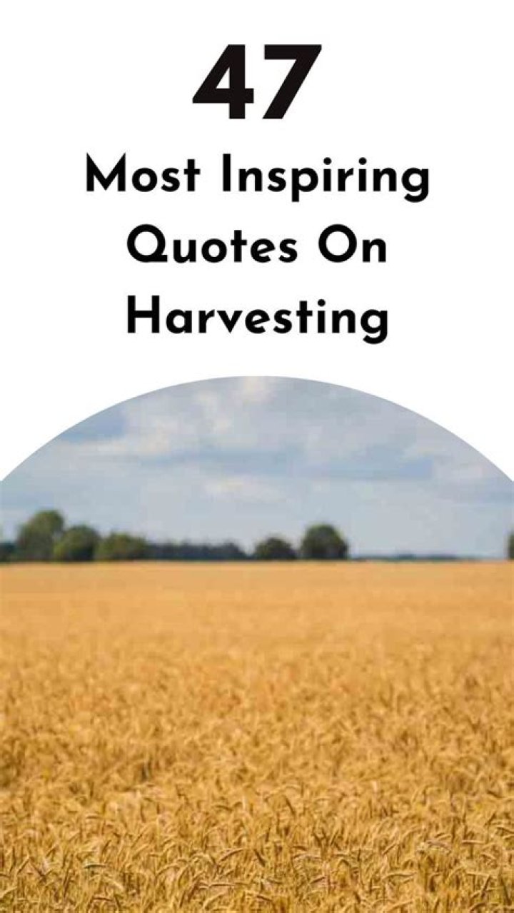 harvest quotes