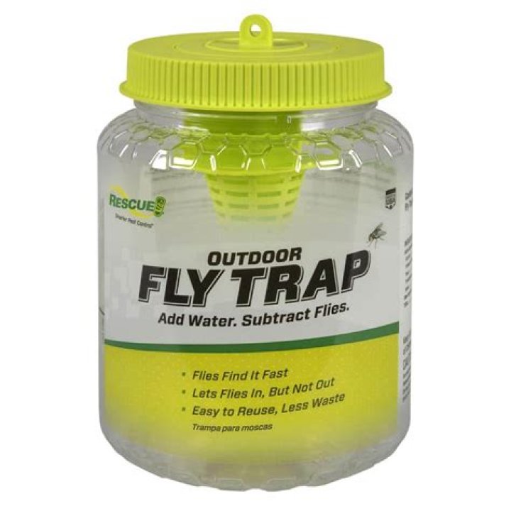 home depot fly traps