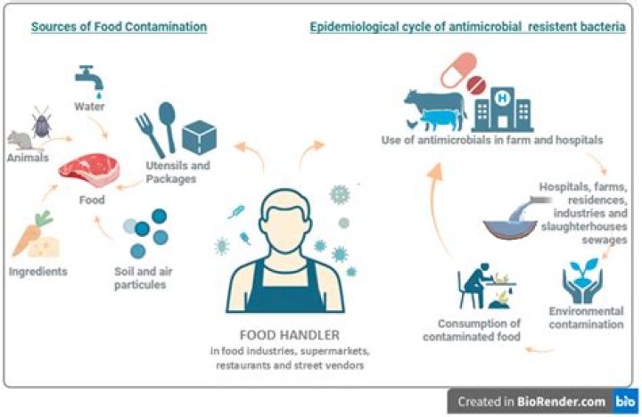 how can a food handler identify food that has been contaminated with pathogens