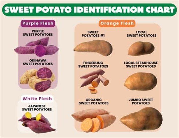 how many sweet potatoes in a cup
