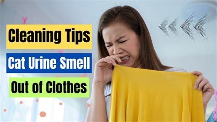how to get cat urine smell out of clothes