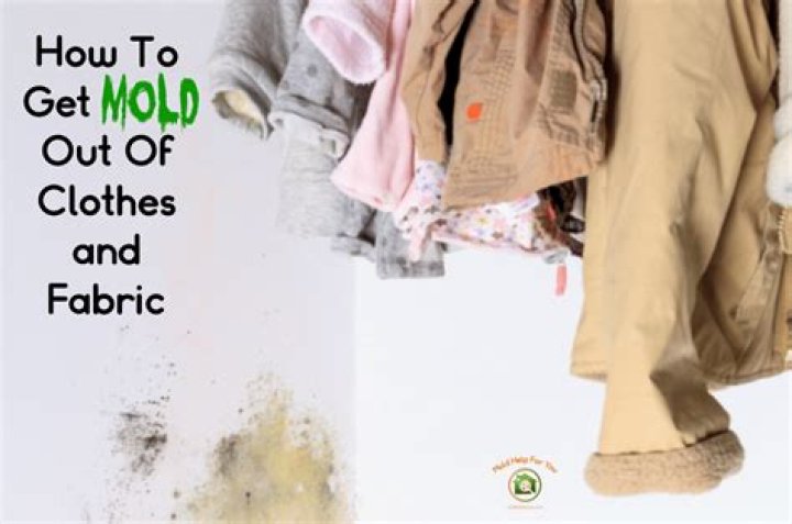 how to get mold out of fabric