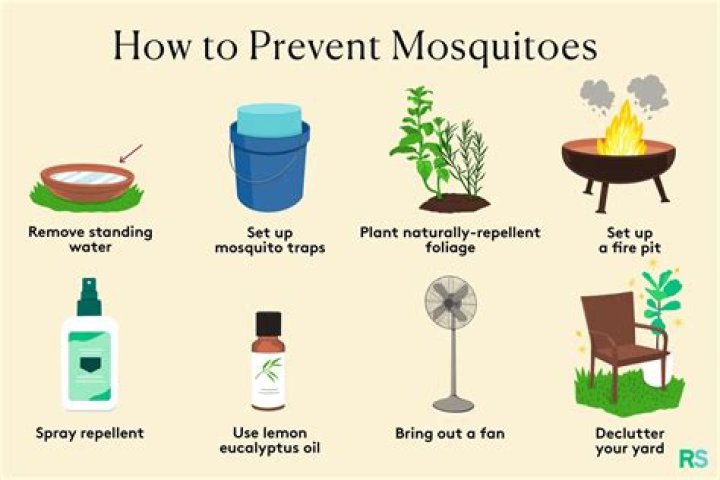 how to keep mosquitoes away from patio