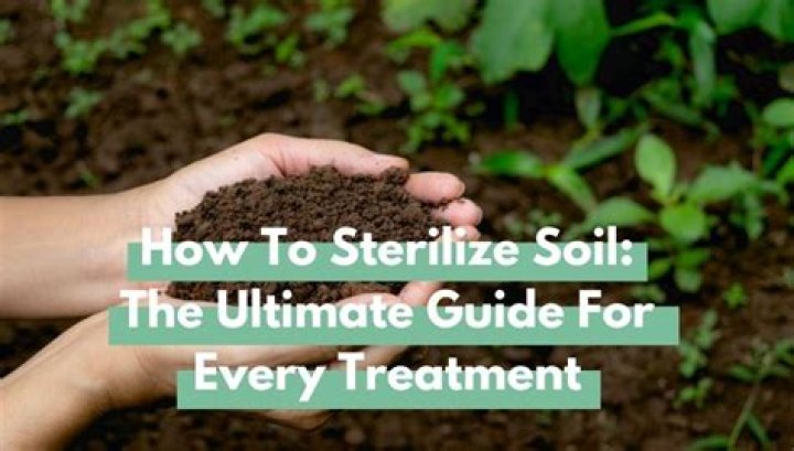 how to sterilize soil