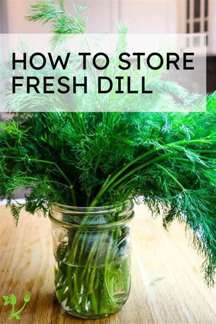 how to store dill