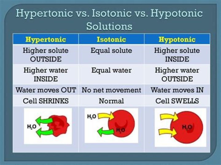 hypotonic vs hypertonic solution