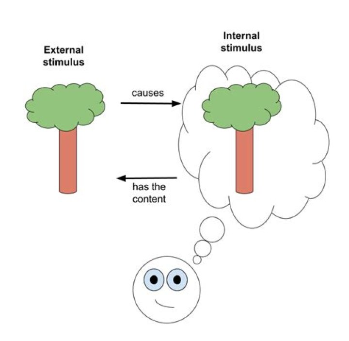 internal stimulus