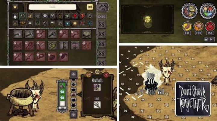 is don t starve together cross platform