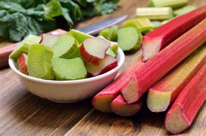 is rhubarb a vegetable
