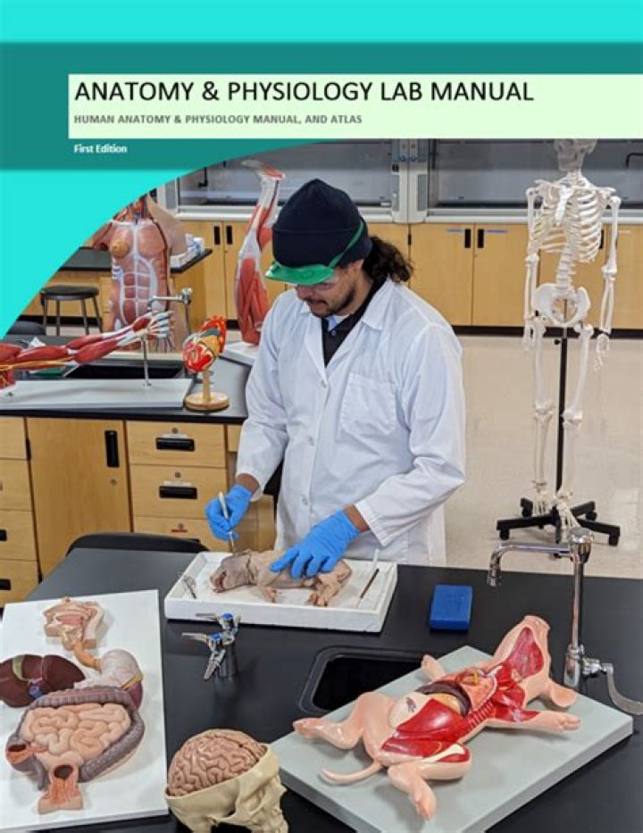 lab practical
